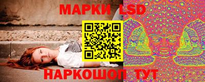 гашик Ярцево