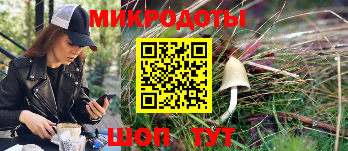 Псилоцибиновые грибы прущие грибы Бор