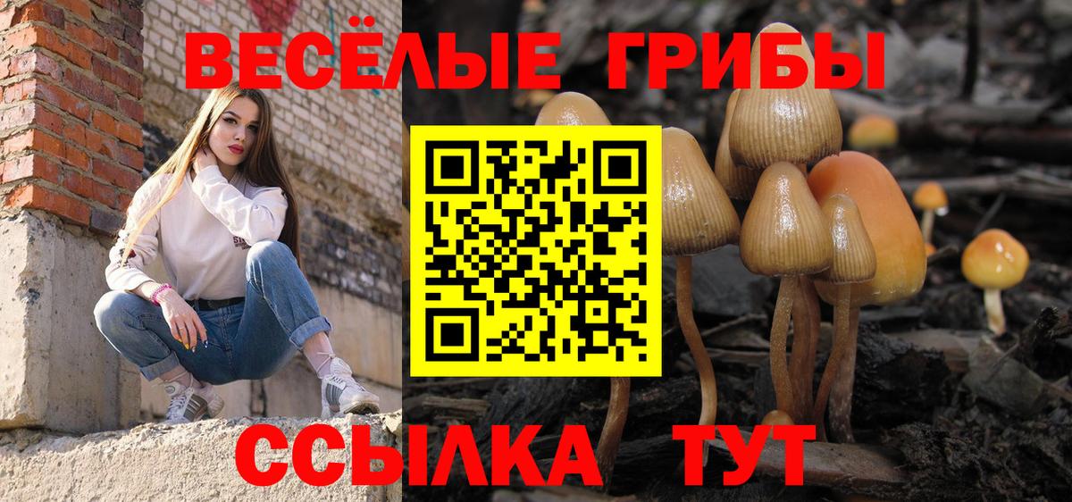Бор  Галлюциногенные грибы мухоморы  Галлюциногенные грибы прущие грибы  Вход с VPN 